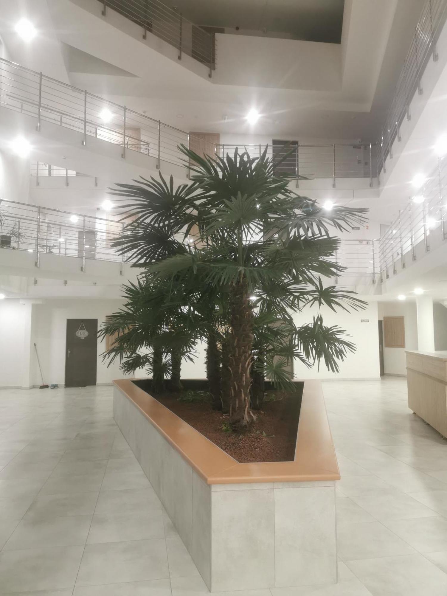 Beli Apartman Melygarazzsal Хевіз Екстер'єр фото